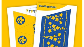 Graphic of bunting